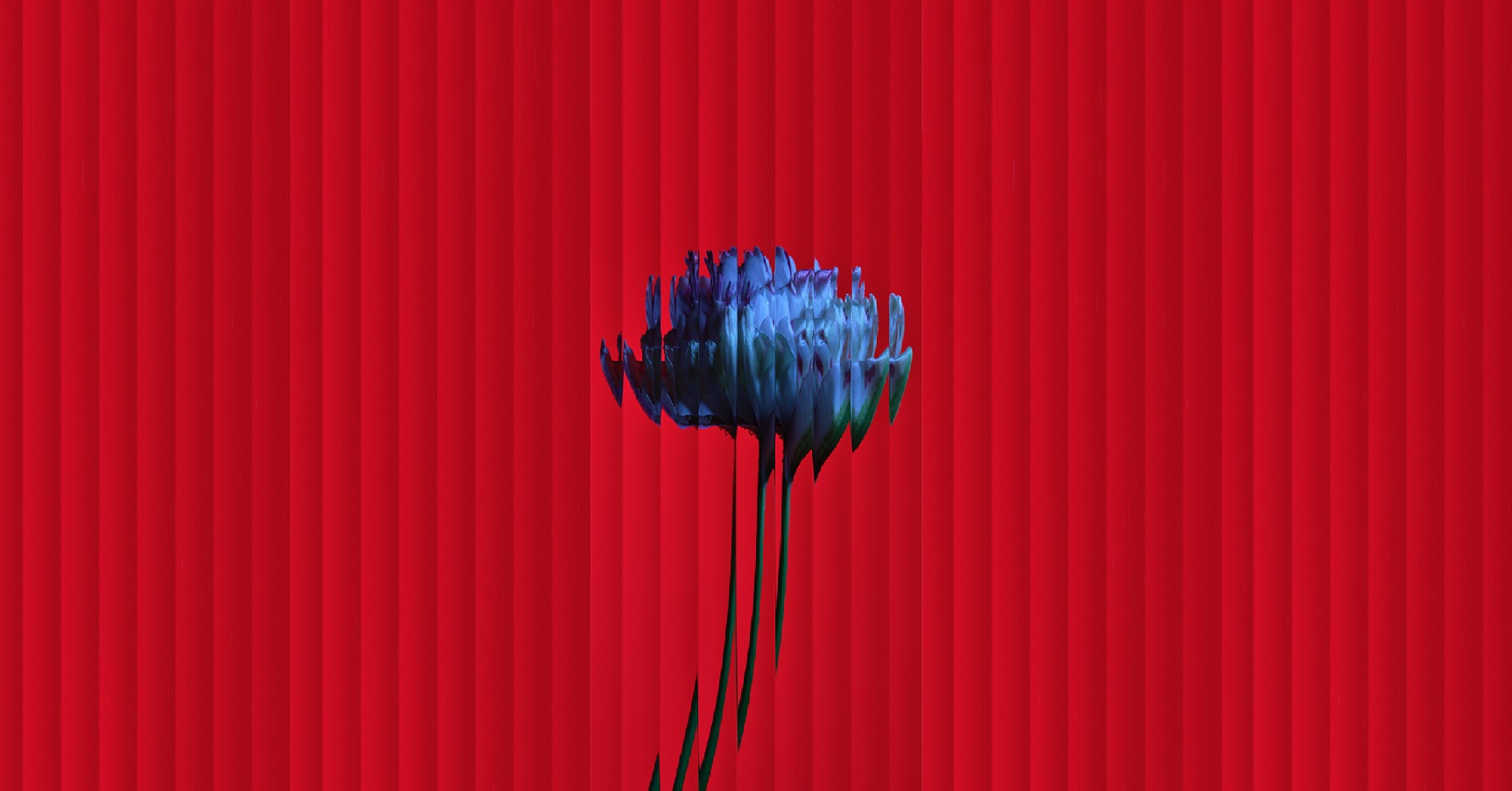 Test 123
